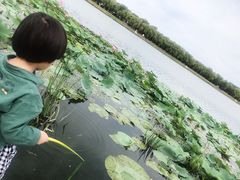 -素心小筑(后沙裕镇店)