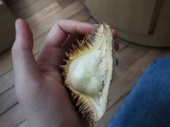 -爱上酸嘢