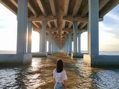 -宝安西湾红树林湿地公园