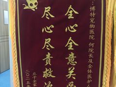 -博特宠物医院24h犬猫全科.骨科·异宠