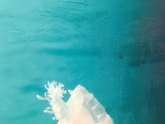 -福州罗源湾海洋世界旅游区