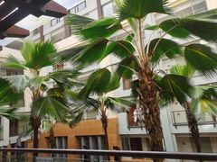 -三亚海棠湾万丽度假酒店