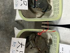 -龙海鲜螃蟹王(宏茂桥店)