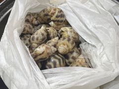 -骑龙海鲜酒家