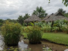 -中国科学院西双版纳热带植物园
