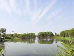 -长兴太湖图影湿地文化园