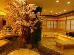 -恒坤北纬42度温泉洗浴(公园路店)