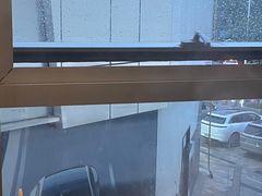 -大虎重庆老火锅(正弘城店)