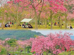 -风云岭森林公园