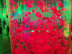 -洛阳龙门海洋馆