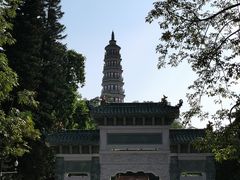 -顺峰山公园
