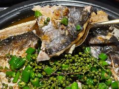 -探鱼·鲜青椒爽麻烤鱼(正佳广场店)