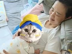 -阿姨之家 月嫂保姆