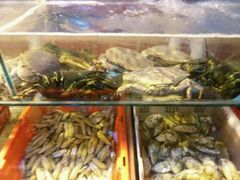 android_upload_pic-1937青岛老味道·青岛菜(大鲍岛栈桥店)
