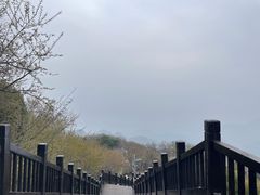 -狼牙山风景区