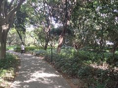 -黄埔荔枝公园