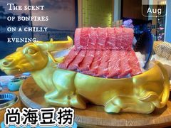 -尚海豆捞(乐虹坊店)