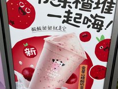 -一只酸奶牛(春熙路店)