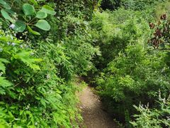 -北京西山国家森林公园