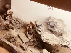 -白兔子密室(长寿路店)