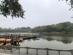 -塘沽森林公园