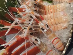 新西兰鳌虾-Mr·Fish鱼鲜生海鲜放题(银泰in99店)