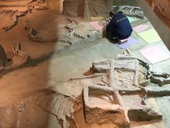 -洛阳周王城天子驾六博物馆