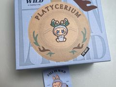 -泡泡玛特POPMART(合生汇店)