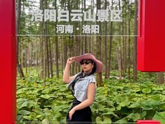 -洛阳白云山景区