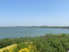 -天津东丽湖风景区