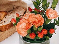 -蝶舍·MAISON PAPILLON