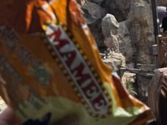 -新苗超市(科英布拉街店)