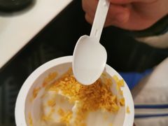 -润园四季椰子鸡火锅(南山海岸城店)