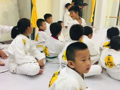 -勇气斑马·巴西柔术&跆拳道(浦东三林店)