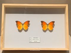 -台州博物馆