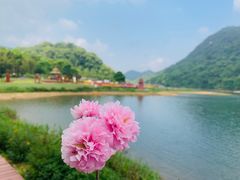 -广州市石门国家森林公园