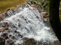 -牛背梁国家森林公园