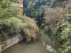 -腾冲和顺柏联酒店