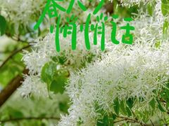 -泰丰公园