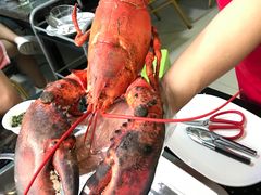 -蚝专家