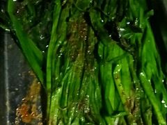 -胖太太四川麻辣排骨串(镇江路分店)