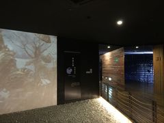 展览馆-溱湖国家湿地公园