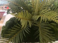 -海底捞火锅(旭辉MALL店)