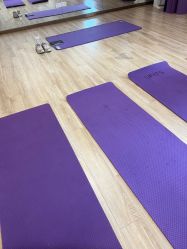 -海豚湾高端月子会所(黄浦店)