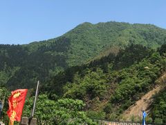 -杨家寨