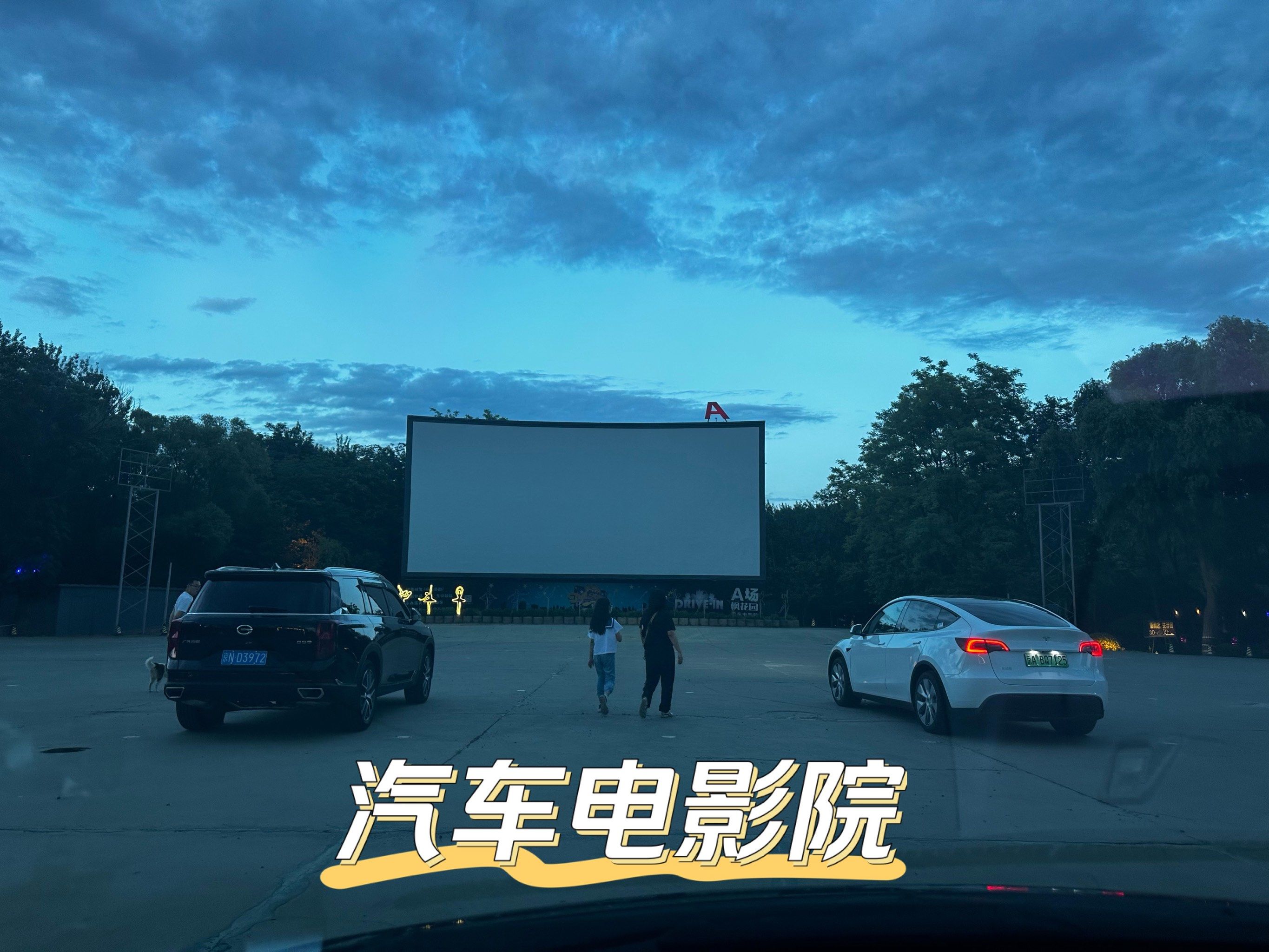 朝阳区枫花汽车电影院