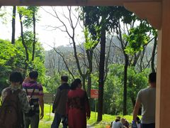 -三门江国家森林公园