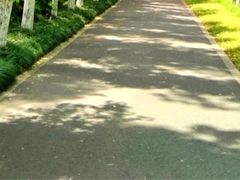 -昆山城市生态森林公园