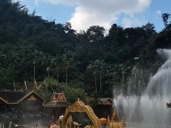 -西双版纳原始森林公园