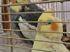 -潇湘·永州会馆(百子湾店)